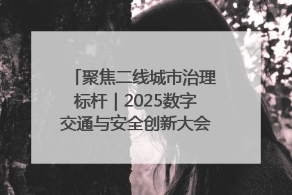 聚焦二线城市治理标杆｜2025数字交通与安全创新大会在保定隆重开幕