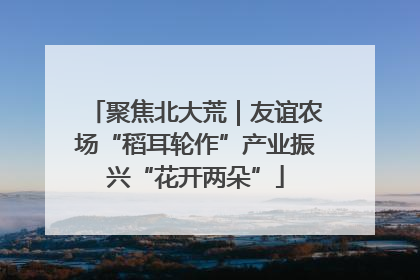 聚焦北大荒｜友谊农场“稻耳轮作”产业振兴“花开两朵”