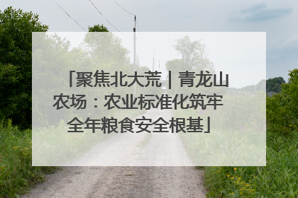 聚焦北大荒｜青龙山农场：农业标准化筑牢全年粮食安全根基
