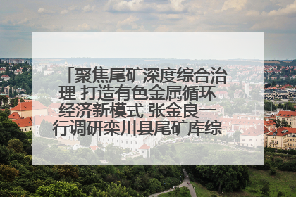 聚焦尾矿深度综合治理 打造有色金属循环经济新模式 张金良一行调研栾川县尾矿库综合治理工作