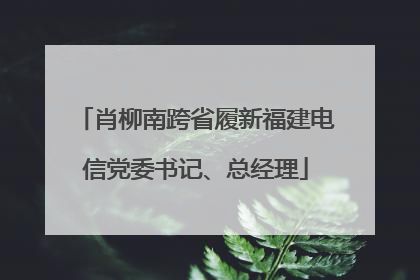 肖柳南跨省履新福建电信党委书记、总经理