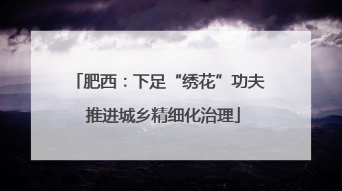 肥西：下足“绣花”功夫 推进城乡精细化治理