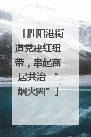 胜阳港街道党建红纽带，串起商居共治 “烟火圈”