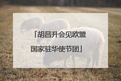 胡昌升会见欧盟国家驻华使节团