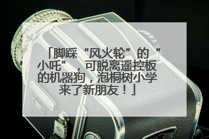 脚踩“风火轮”的“小吒”，可脱离遥控板的机器狗，泡桐树小学来了新朋友！