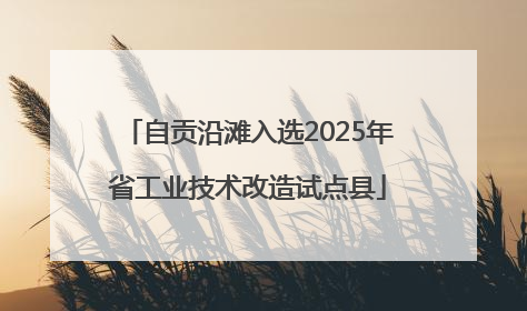 自贡沿滩入选2025年省工业技术改造试点县