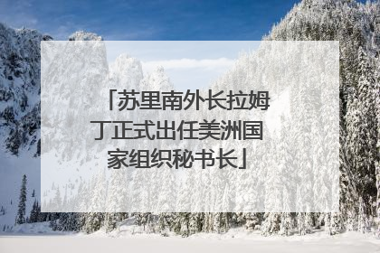 苏里南外长拉姆丁正式出任美洲国家组织秘书长