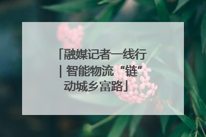 融媒记者一线行｜智能物流“链”动城乡富路