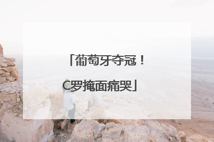 葡萄牙夺冠！C罗掩面痛哭