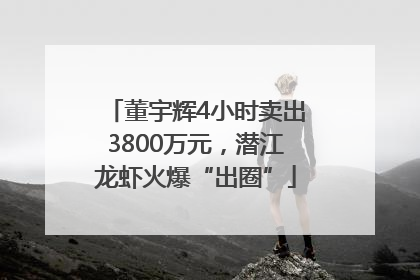 董宇辉4小时卖出3800万元，潜江龙虾火爆“出圈”