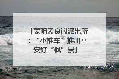 蒙阴孟良崮派出所：“小推车”推出平安好“枫”景
