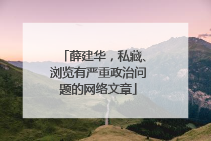 薛建华，私藏、浏览有严重政治问题的网络文章
