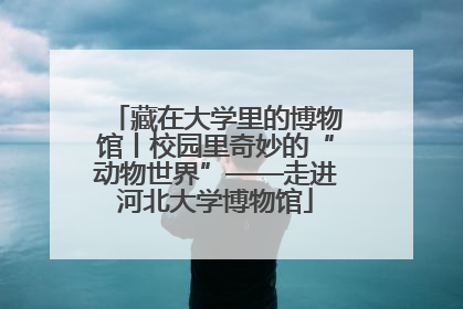 藏在大学里的博物馆丨校园里奇妙的“动物世界”——走进河北大学博物馆