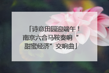诗意田园迎端午！南京六合马鞍奏响“甜蜜经济”交响曲