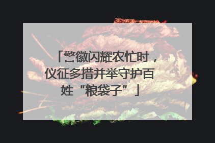 警徽闪耀农忙时，仪征多措并举守护百姓“粮袋子”