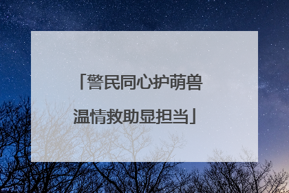 警民同心护萌兽 温情救助显担当
