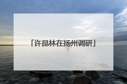 许昆林在扬州调研