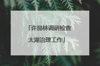 许昆林调研检查太湖治理工作
