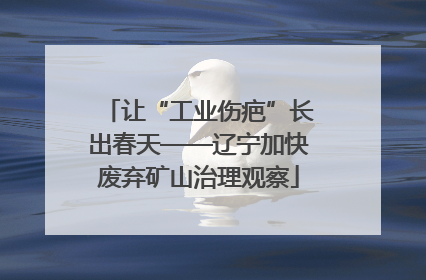 让“工业伤疤”长出春天——辽宁加快废弃矿山治理观察