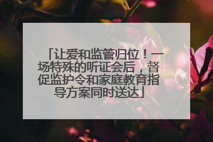 让爱和监管归位！一场特殊的听证会后，督促监护令和家庭教育指导方案同时送达