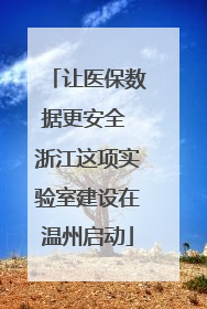 让医保数据更安全 浙江这项实验室建设在温州启动