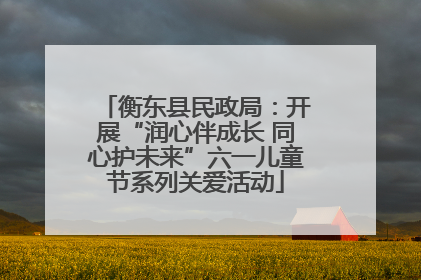 衡东县民政局：开展“润心伴成长 同心护未来”六一儿童节系列关爱活动