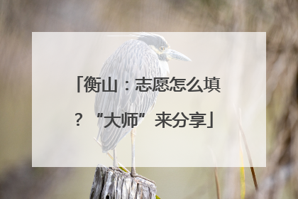 衡山：志愿怎么填？“大师”来分享