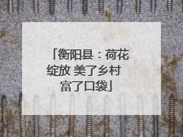 衡阳县：荷花绽放 美了乡村 富了口袋