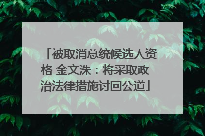 被取消总统候选人资格 金文洙：将采取政治法律措施讨回公道