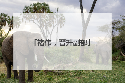 褚伟，晋升副部