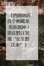西南地区首个鸭嘴龙类新属种！重庆黔江发现“长生黔江龙”