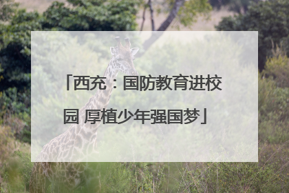 西充：国防教育进校园 厚植少年强国梦