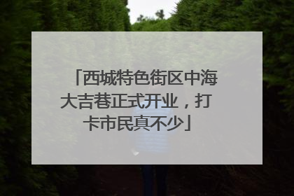 西城特色街区中海大吉巷正式开业，打卡市民真不少