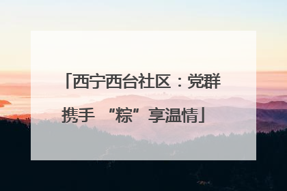 西宁西台社区：党群携手 “粽”享温情