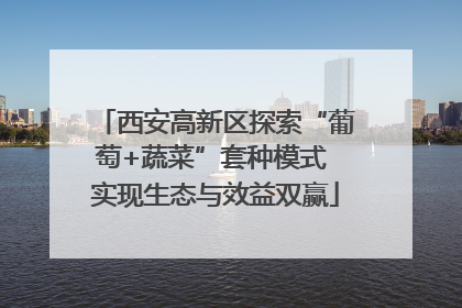 西安高新区探索“葡萄+蔬菜”套种模式 实现生态与效益双赢