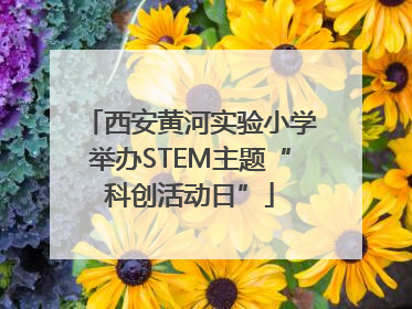 西安黄河实验小学举办STEM主题“科创活动日”