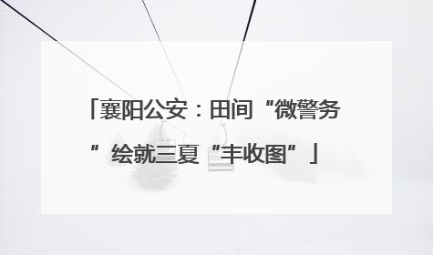 襄阳公安：田间“微警务”绘就三夏“丰收图”