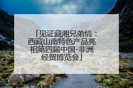 见证藏湘兄弟情：西藏山南特色产品亮相第四届中国-非洲经贸博览会