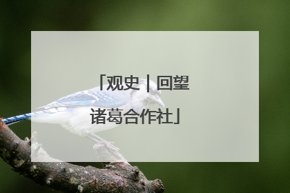 观史｜回望诸葛合作社