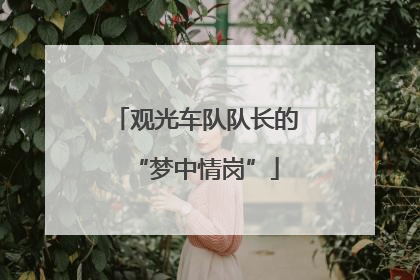 观光车队队长的“梦中情岗”