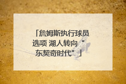 詹姆斯执行球员选项 湖人转向“东契奇时代”