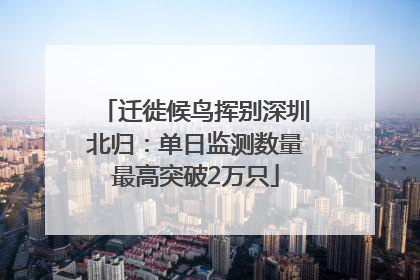 迁徙候鸟挥别深圳北归：单日监测数量最高突破2万只