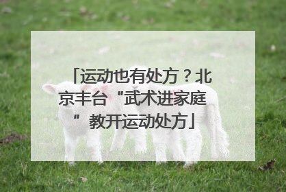 运动也有处方？北京丰台“武术进家庭”教开运动处方