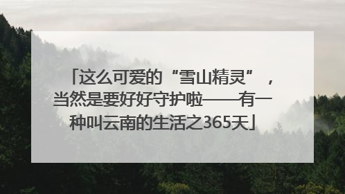 这么可爱的“雪山精灵”，当然是要好好守护啦——有一种叫云南的生活之365天