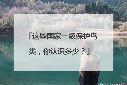 这些国家一级保护鸟类，你认识多少？