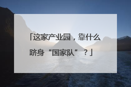 这家产业园，靠什么跻身“国家队”？