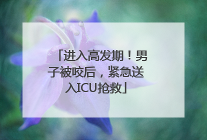 进入高发期！男子被咬后，紧急送入ICU抢救