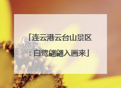 连云港云台山景区：白鹭翩翩入画来