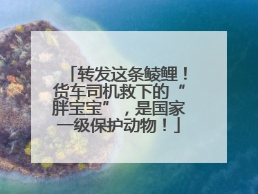 转发这条鲮鲤！货车司机救下的“胖宝宝”，是国家一级保护动物！