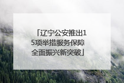 辽宁公安推出15项举措服务保障全面振兴新突破